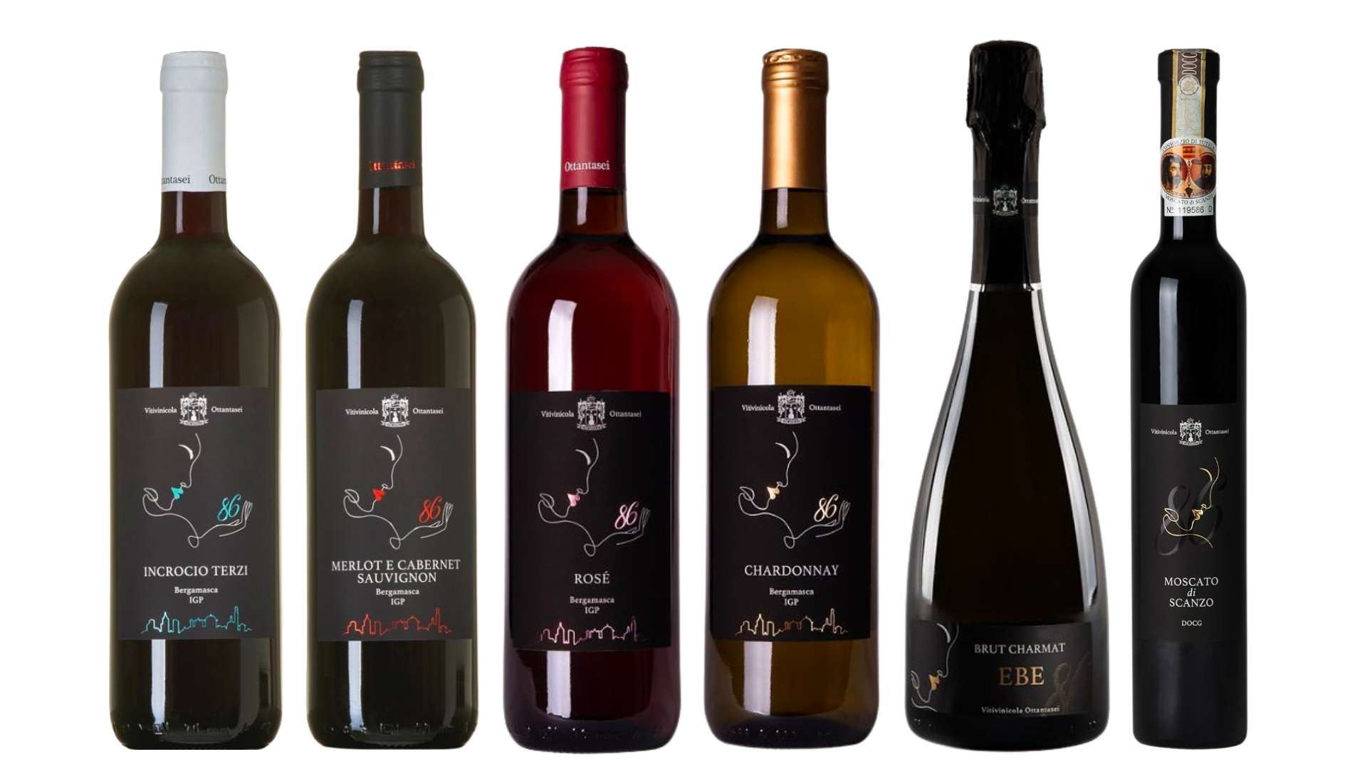 vitivinicola-86_tutti-i-vini